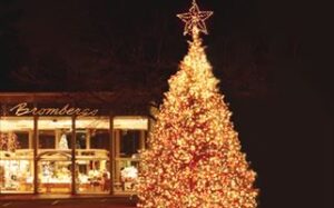 A large Christmas tree adorned with numerous lights stands in front of a brightly lit store. The tree is topped with a glowing star, and the store behind has large windows displaying various items and a sign that reads "Bromberg's.