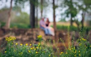 A couple is sitting on a stone wall in a forest, with green trees and foliage in the background. The foreground features yellow wildflowers in sharp focus, while the couple and background are blurred.