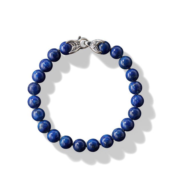 A round bead bracelet made of deep blue lapis lazuli stones is arranged in a circle on a white background. The beads are connected by a silver clasp featuring a stylized fish design. The stones have a glossy finish with subtle natural variations.