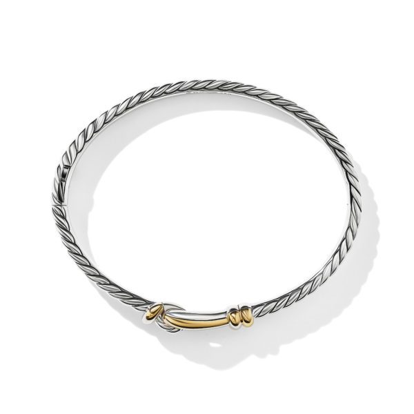 A sleek silver twisted wire bracelet features a gold accent at the clasp. The simple, elegant design combines both metallic tones, creating a sophisticated accessory. The bracelet is displayed on a white background, casting a soft shadow.