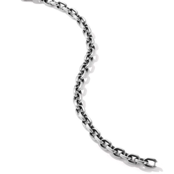 A close-up of a silver chain with large, interlocking links set against a plain white background. The chain is curved slightly in an S shape.