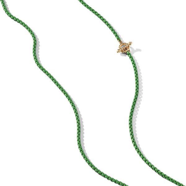 A green braided cord with a small gold turtle charm in the center of one side, laid against a white background.