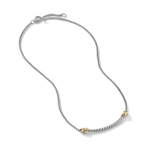 A delicate silver necklace with a twisted rope design features two small gold accents. It has a lobster clasp closure and an adjustable chain length. The design is elegant and minimalistic.