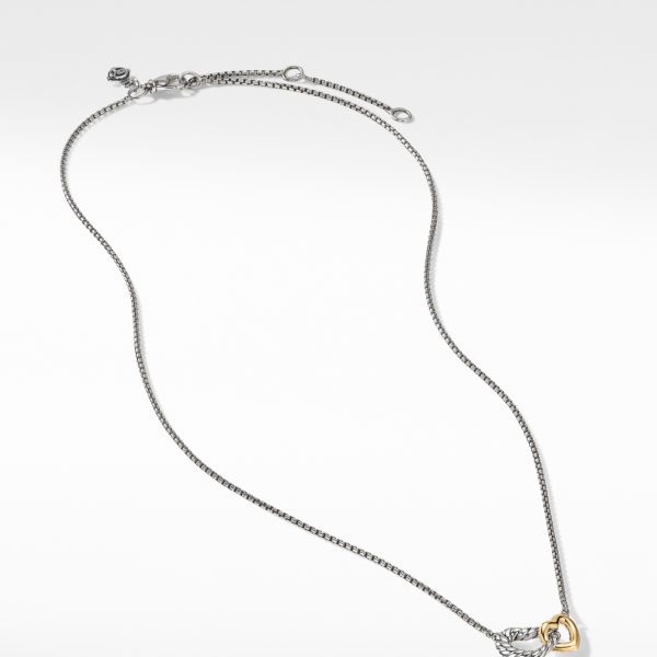 A silver necklace with a fine chain features a small, intertwined charm of silver and gold at the center. The necklace is laid out flat on a white background.