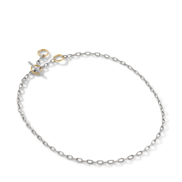 A delicate silver chain necklace with an interlinked pattern, featuring a toggle clasp. The necklace includes small gold ring accents near the clasp, blending both silver and gold elements in its design. The clasp is positioned at the top left in the photo.