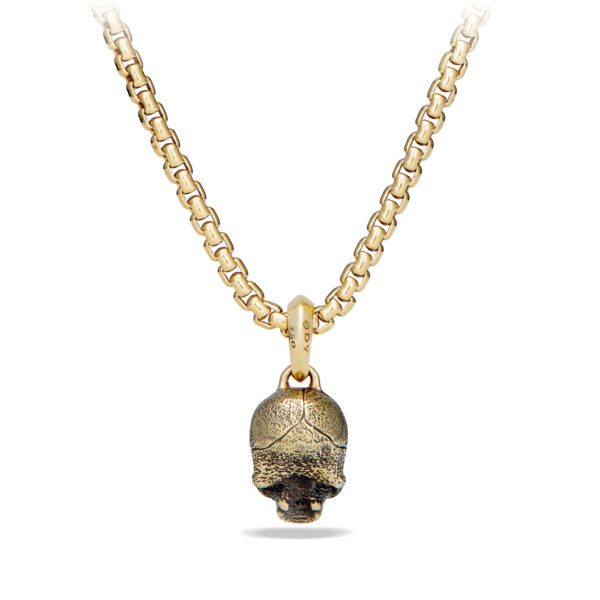 Gold chain necklace featuring a detailed skull pendant with a textured finish. The necklace has a thick, linked design, and the pendant is antiqued for a rugged look. The skull adds an edgy, bold accent to the elegant gold chain.