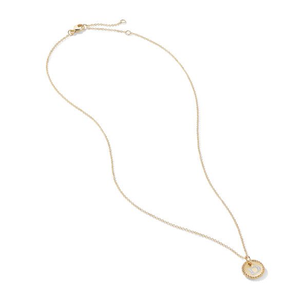 A delicate gold necklace features a fine chain with a round pendant. The pendant has a gold outer ring adorned with small white stones, and inside it is an opalescent center. The clasp is visible at the top of the chain.