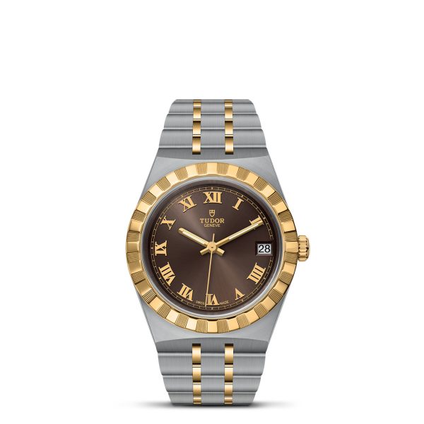 The TUDOR Royal is a luxurious wristwatch featuring a two-tone metal band in silver and gold, a dark dial adorned with gold Roman numerals, luminescent hands, and a date window at the 3 o'clock position. Completing its elegant design is a gold bezel with grooved detailing and the distinguished "Tudor" brand prominently displayed on the dial.