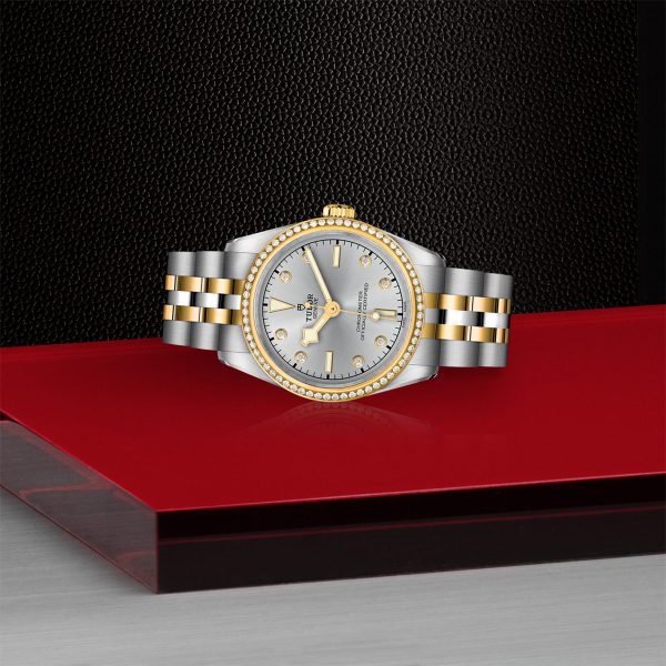 The TUDOR Black Bay 31 S&G, a luxury watch featuring a refined silver and gold two-tone metal strap, is elegantly displayed on a red platform. Its silver watch face showcases gold hour markers and is encircled by a gold bezel adorned with small diamonds, all set against a dark, textured backdrop.