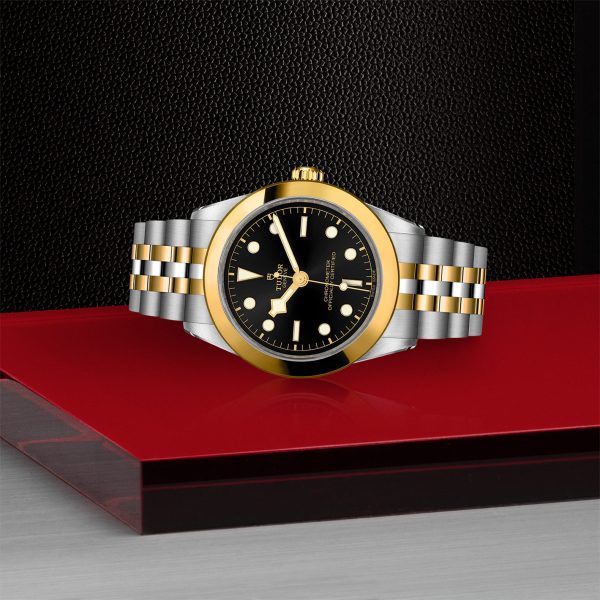 Silver and gold Tudor watch with a black and gold face resting on a red display