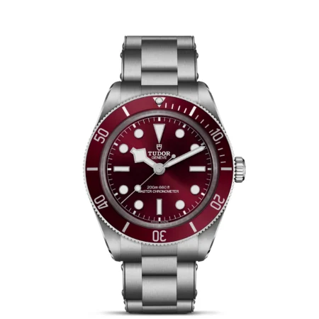 TUDOR Black Bay 58