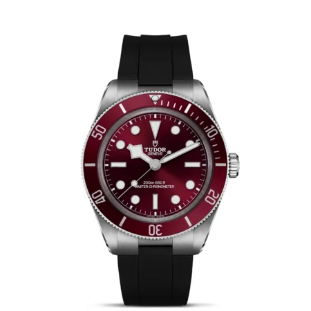 TUDOR Black Bay 58