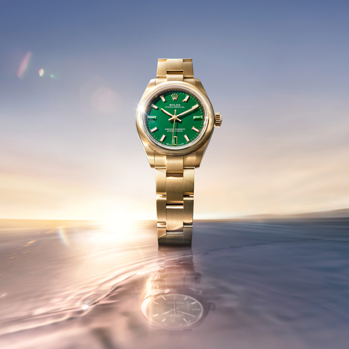 rolex new watches 2026 - bromberg's