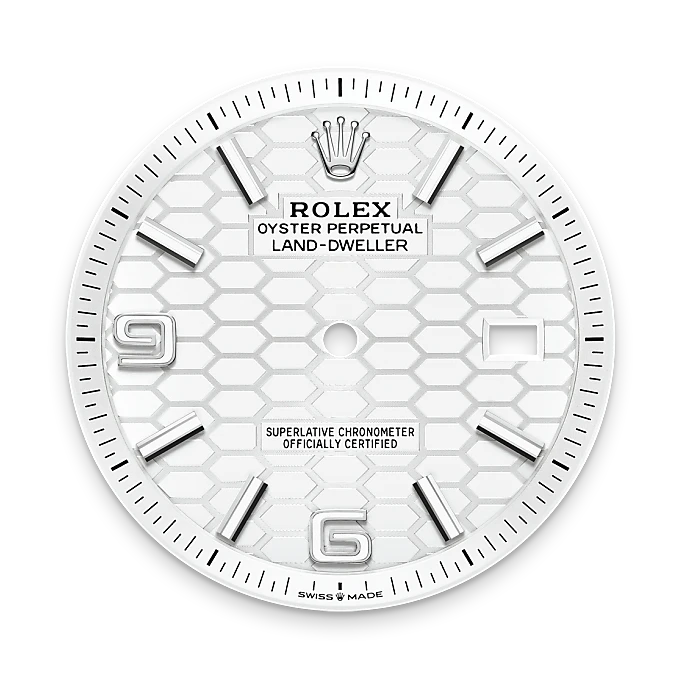 rolex Land-Dweller in White Rolesor - combination of Oystersteel and white gold, M127334-0001 - bromberg's