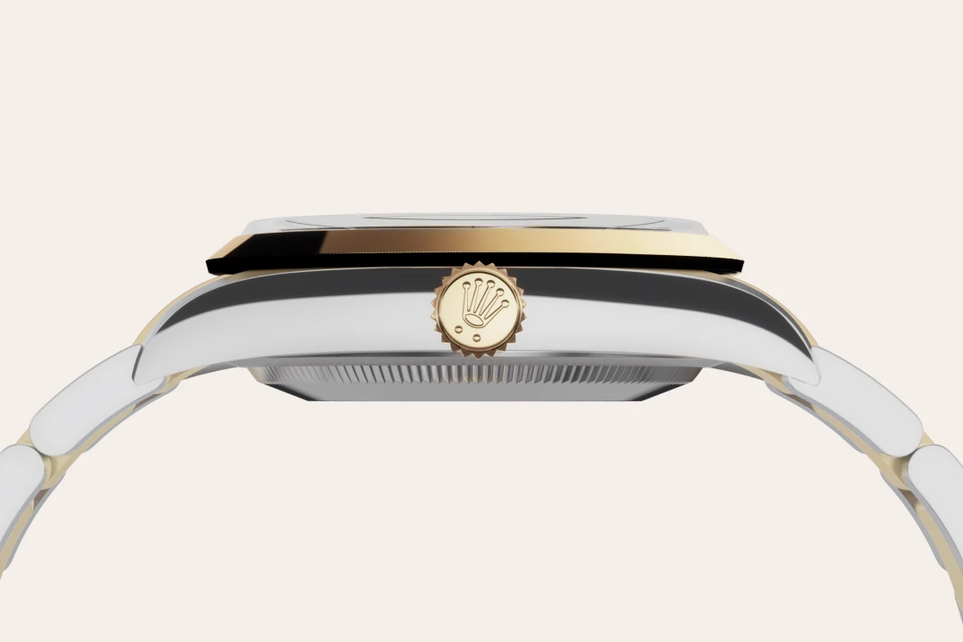 rolex Explorer in Yellow Rolesor - combination of Oystersteel and yellow gold, M124273-0001 - bromberg's