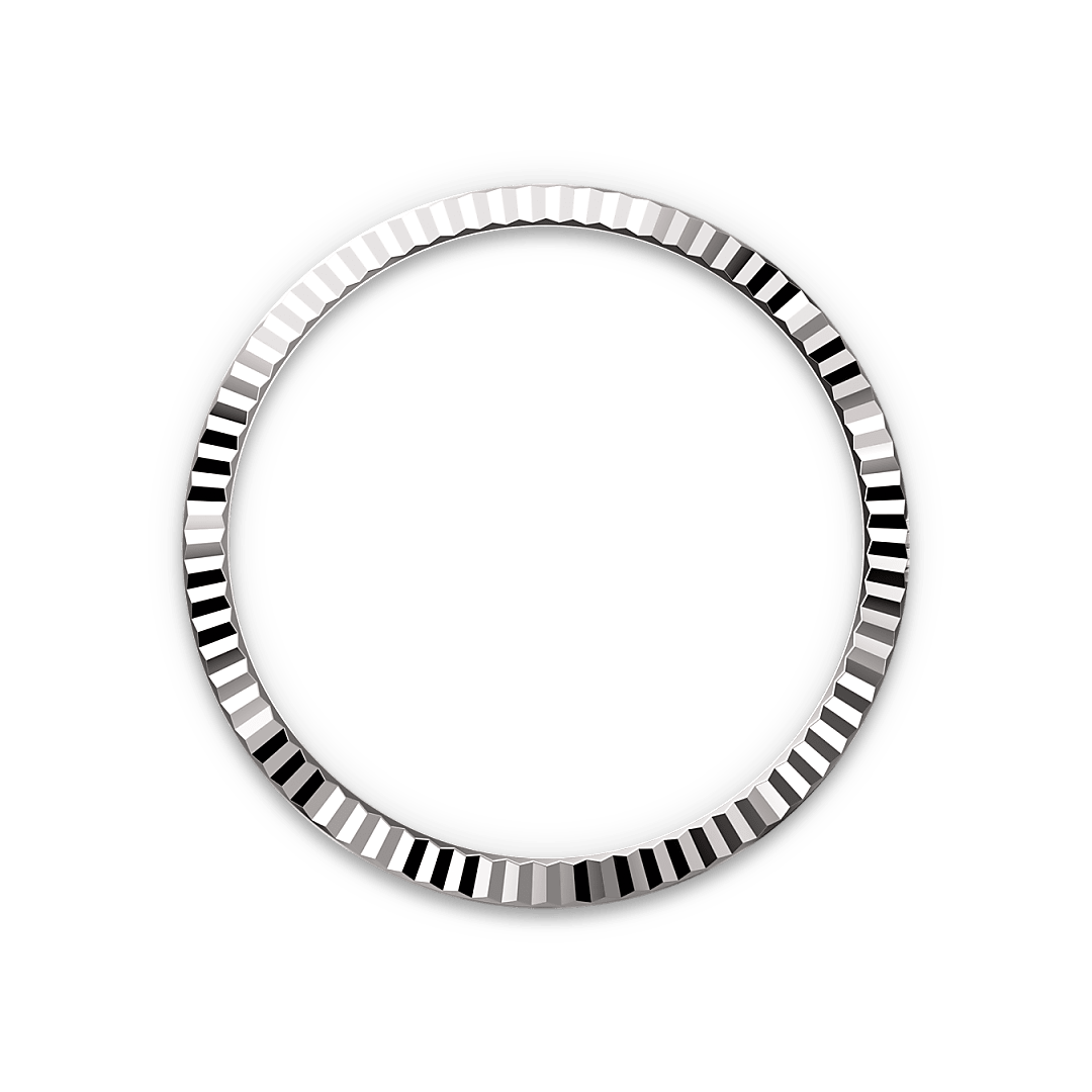rolex Datejust in White Rolesor - combination of Oystersteel and white gold, M126234-0051 - bromberg's