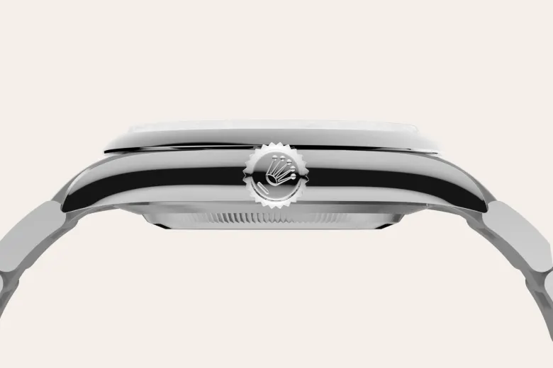 rolex Oyster Perpetual in Oystersteel, M134300-0006 - bromberg's